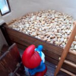 Papa smurf inspecting grain inside a granary